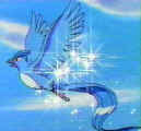 Watch out, Articuno's ice attacks could freeze you instantly!